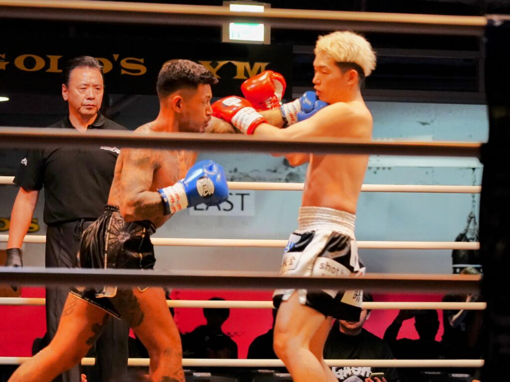 ギャラリー dsc01180~2 (1)